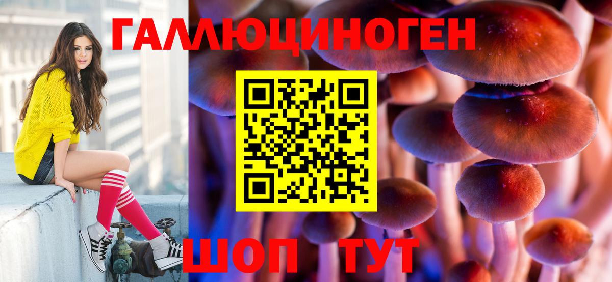 Псилоцибиновые грибы Psilocybine cubensis Железноводск